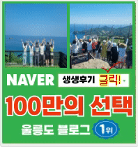 네이버 블로그